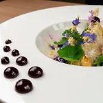 Testa Hotel